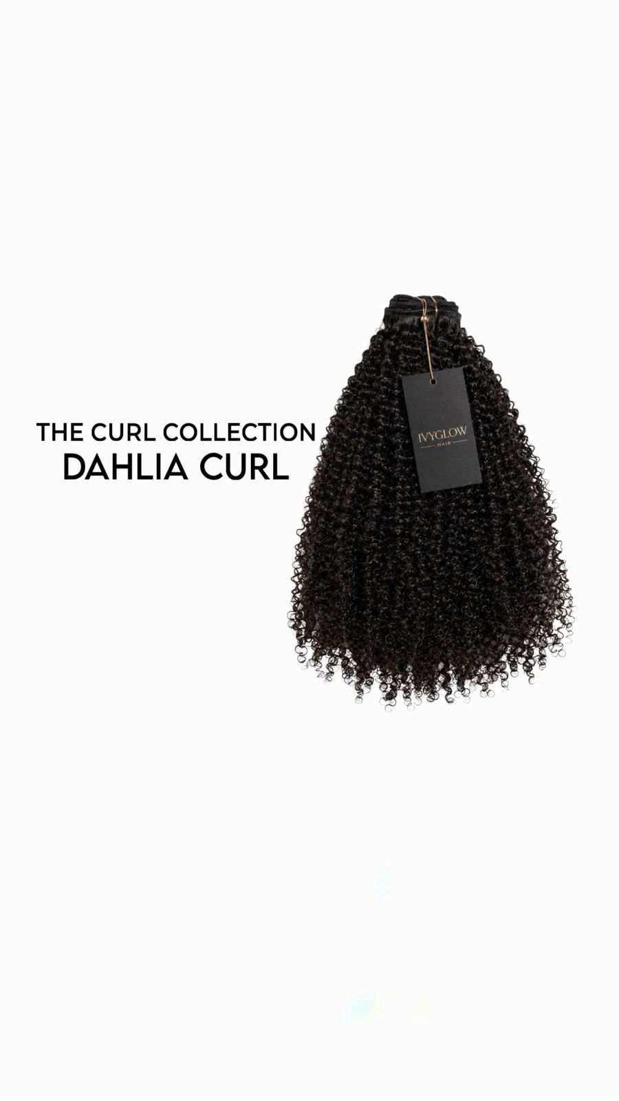 Dahlia Curl